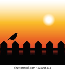Bird Silhouette on a fence in sunset