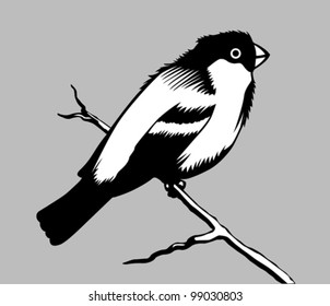 Vogel-Silhouette auf grauem Hintergrund, Vektorgrafik