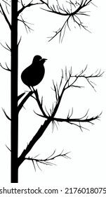 Bird silhouette on tree branches in nature