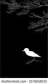 Silhouette de pájaro sobre ramas de árboles en la naturaleza