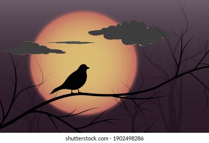 Bird silhouette on tree on sunset or sunrise background.vector illustration