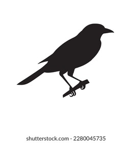 bird silhouette on white background, vector illustration