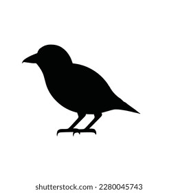 bird silhouette on white background, vector illustration