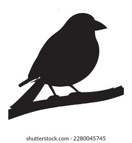 bird silhouette on white background, vector illustration