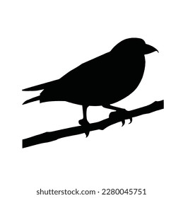 bird silhouette on white background, vector illustration