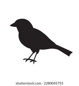 bird silhouette on white background, vector illustration