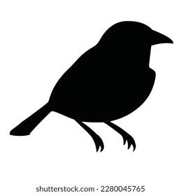 bird silhouette on white background, vector illustration