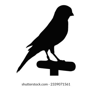 Bird silhouette on white background, vector illustration svg
