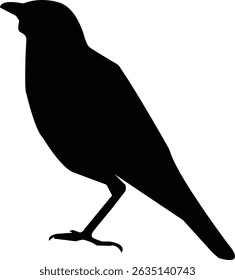Bird Silhouette on White Background