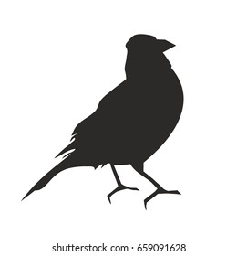 bird silhouette on white background, vector illustration