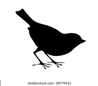 bird silhouette on white background, vector illustration