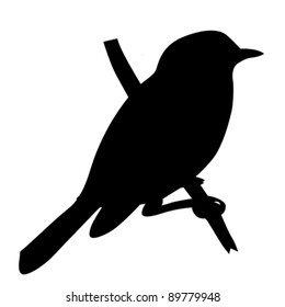 bird silhouette on white background, vector illustration
