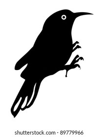 silueta de pájaro sobre fondo blanco, ilustración vectorial