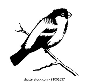 silueta de pájaro sobre fondo blanco, ilustración vectorial
