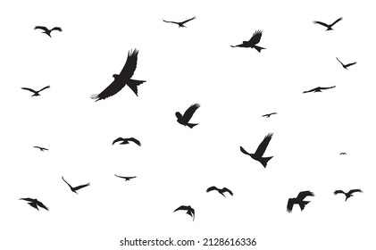 bird silhouette Red Kite free flying in the sky. vector eps 10