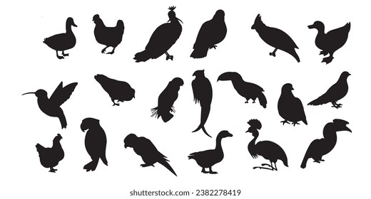 Conjunto de silueta de pájaro, silueta de pájaro