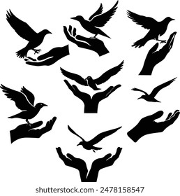 Bird silhouette, Set of black bird silhouettes, bird, vector