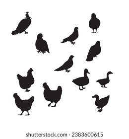 Bird silhouette set, crow, duck and hen
