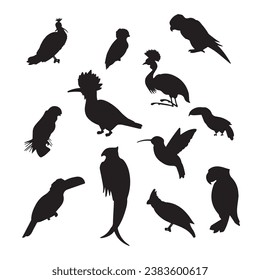 Bird silhouette set, crow, duck and hen