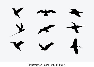 Bird Silhouette Set, Bird Vector Silhouette
