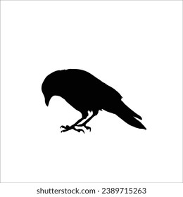 Bird silhouette sotck vector illustration