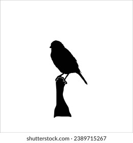 Bird silhouette sotck vector illustration