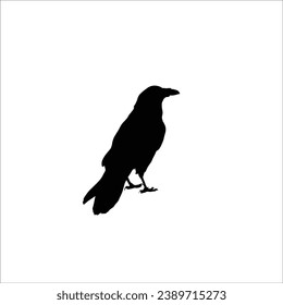 Vogelsilhouette, Vektorgrafik