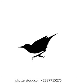 Bird silhouette sotck vector illustration