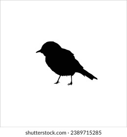 Bird silhouette sotck vector illustration
