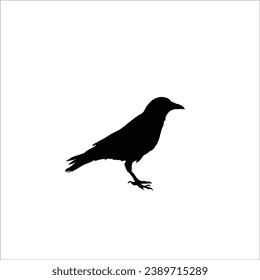 Bird silhouette sotck vector illustration