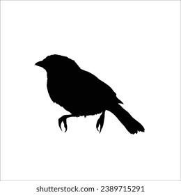 Bird silhouette sotck vector illustration