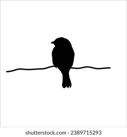 Bird silhouette sotck vector illustration
