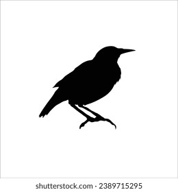 Bird silhouette sotck vector illustration