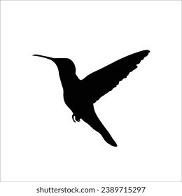 Bird silhouette sotck vector illustration