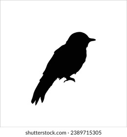 Bird silhouette sotck vector illustration