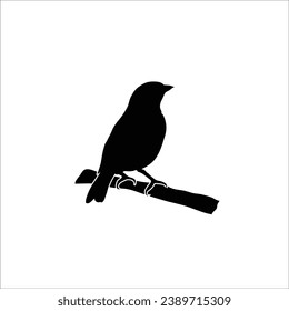 Bird silhouette sotck vector illustration