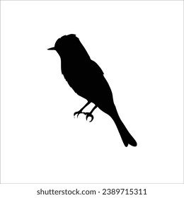 Bird silhouette sotck vector illustration