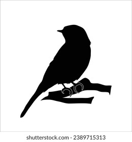 Bird silhouette sotck vector illustration