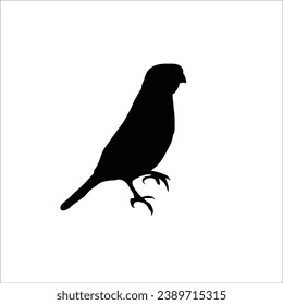 Bird silhouette sotck vector illustration