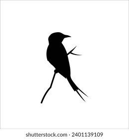 Bird silhouette stock vector illustration