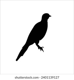Bird silhouette stock vector illustration
