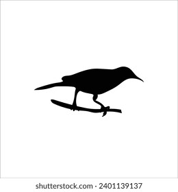 Bird silhouette stock vector illustration
