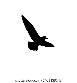 Bird silhouette stock vector illustration