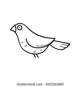 bird silhouette vector, bird
