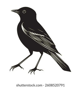 Bird silhouette vector art design