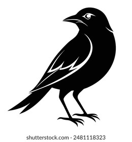 bird silhouette Vector art Illustration