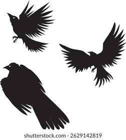 Bird silhouette vector art illustration