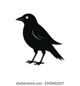 bird silhouette vector art, logo, icon design black and white 