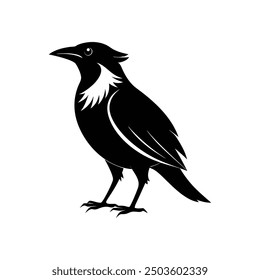 bird silhouette vector art, logo, icon design black and white 