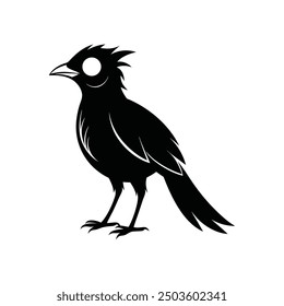 bird silhouette vector art, logo, icon design black and white 